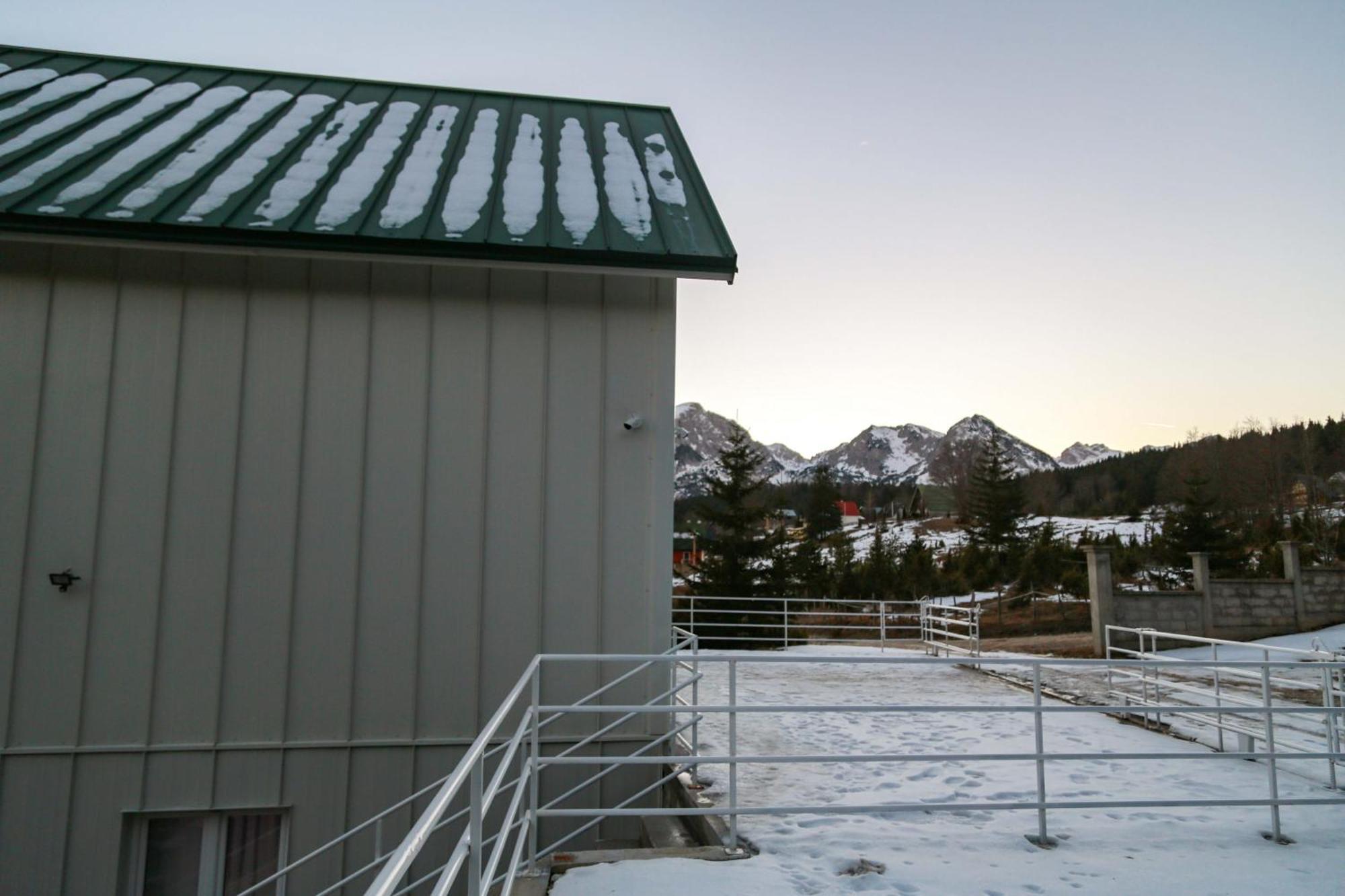 Hillside Apartments Zabljak  Luaran gambar